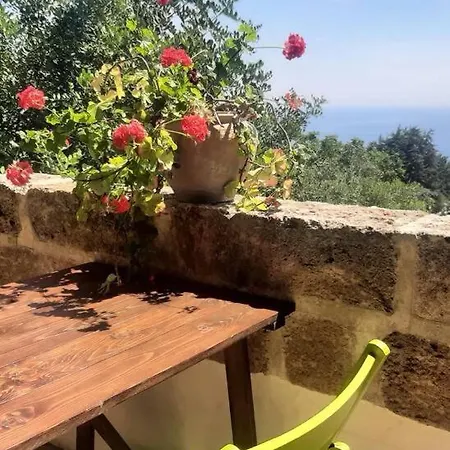 Prima Lux House *